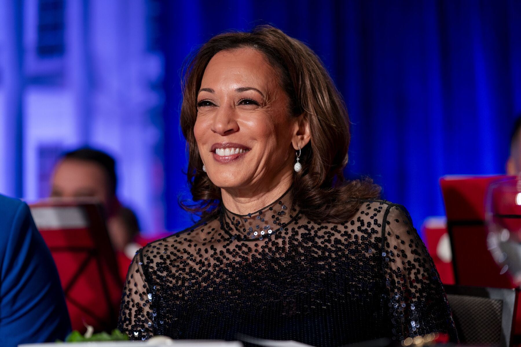 Top Wall Street CEOs cooling on Kamala Harris as Donald Trump’s polling numbers surge